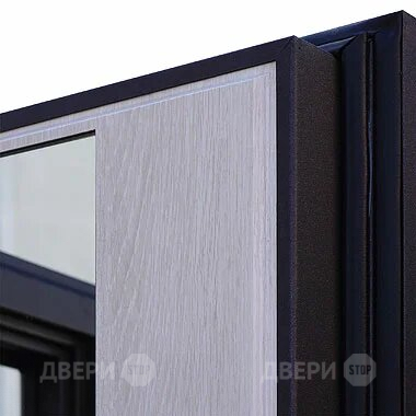 Входная металлическая Дверь Шелтер (SHELTER) Филадельфия Зеркало в Ногинск