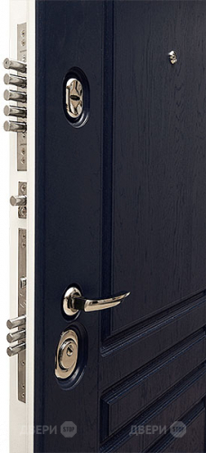 Входная металлическая Дверь Сударь МД-45 в Ногинск